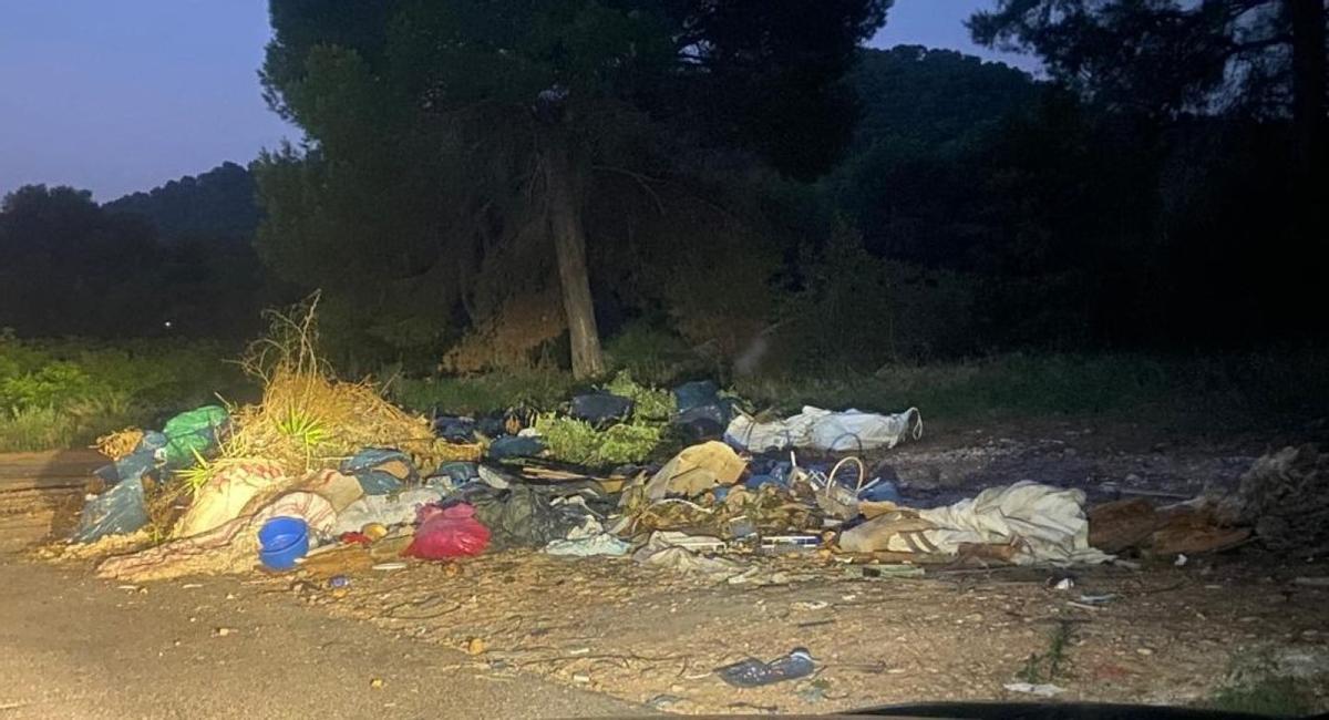 Una imagen reciente del vertedero del Camí de Sant Roc.