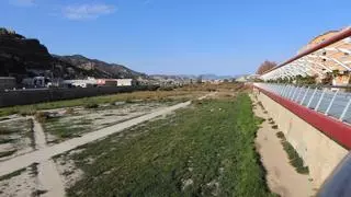 Alerta en Lorca por la proliferación de insectos