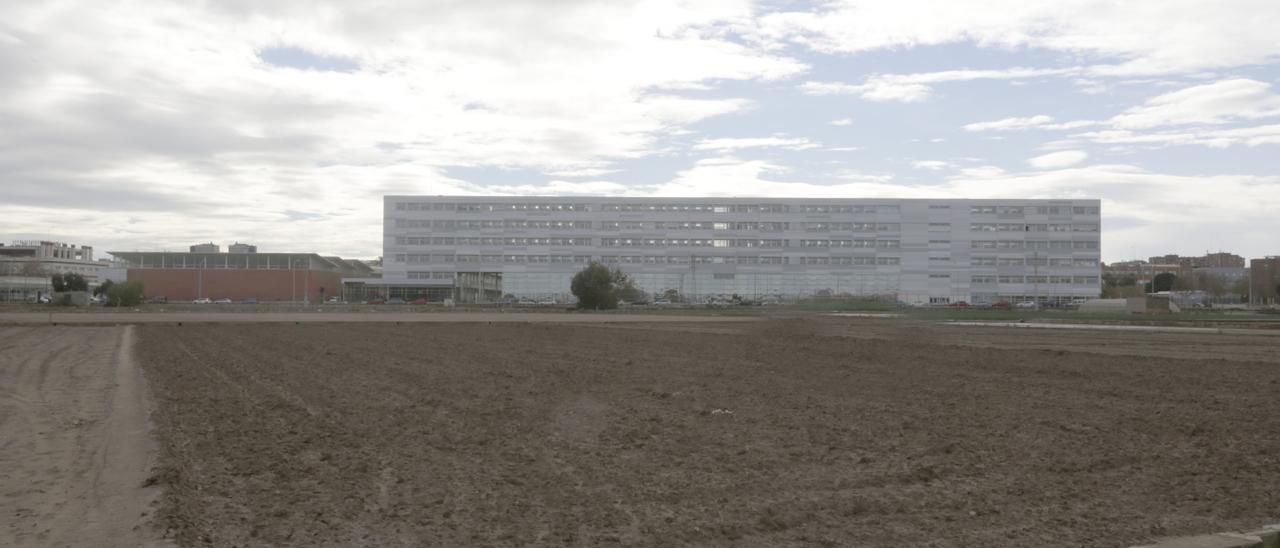 Huerta de Vera con uno de los edificios de la Universitat Politécnica de València, al fondo.