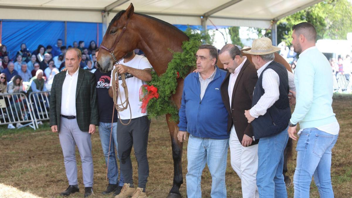 La XXXV Feira do Cabalo de Lalín en imágenes