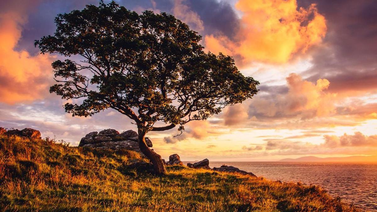 Murlough Bay