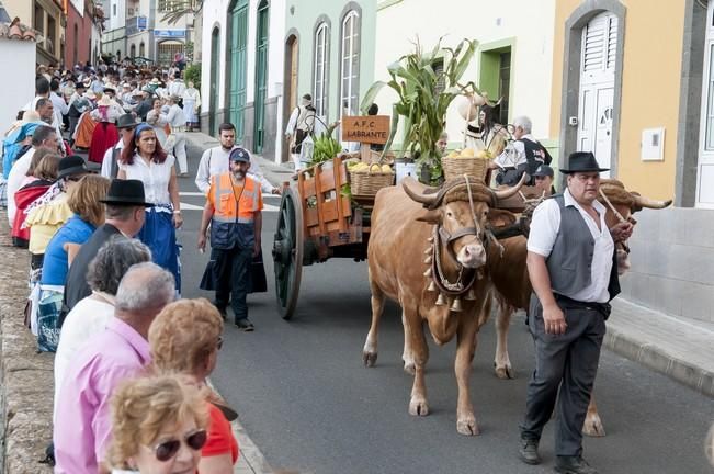 18/06/2016 ARUCAS . Romeria de ARUCAS. Foto: SABRINA CEBALLOS