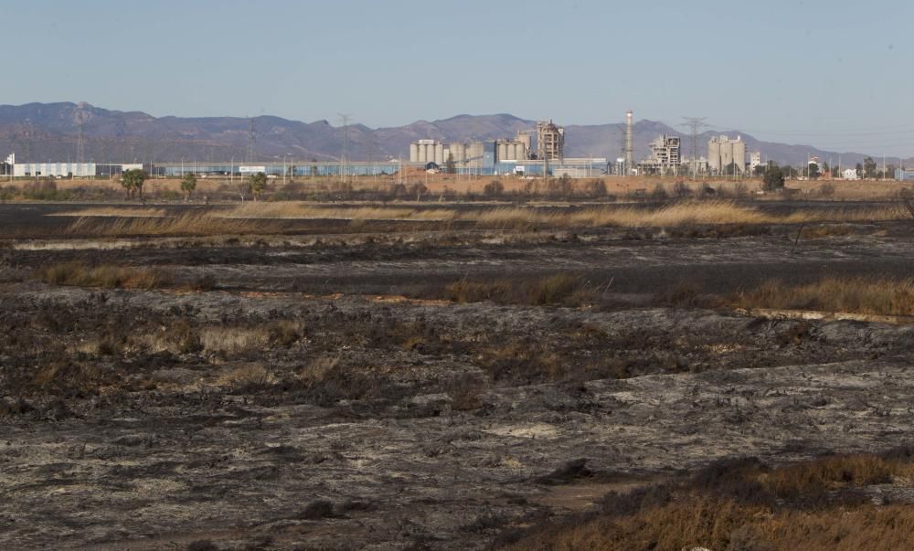 La Marjal dels Moros tras el incendio