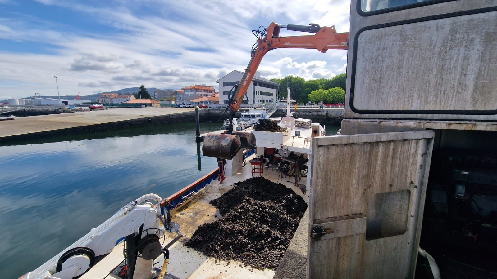 La lucha contra las biotoxinas marinas se refuerza en el Intecmar.