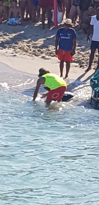 Pánico por la aparición de un tiburón en la playa de Calas de Mallorca