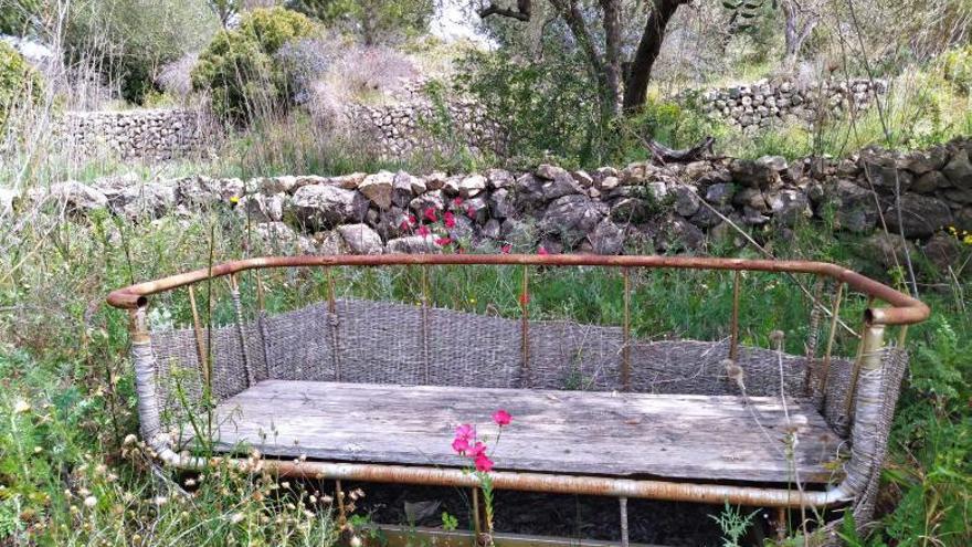 Los estragos del abandono en el jardín de lirios de Bèrnia, en Benissa, que fue el más grande de España