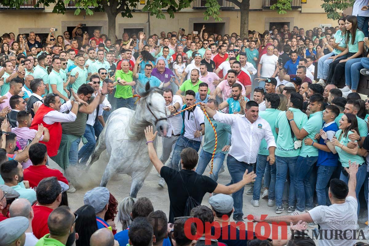 Entrega de premios del concurso morfológico de los Caballos del Vino de Caravaca