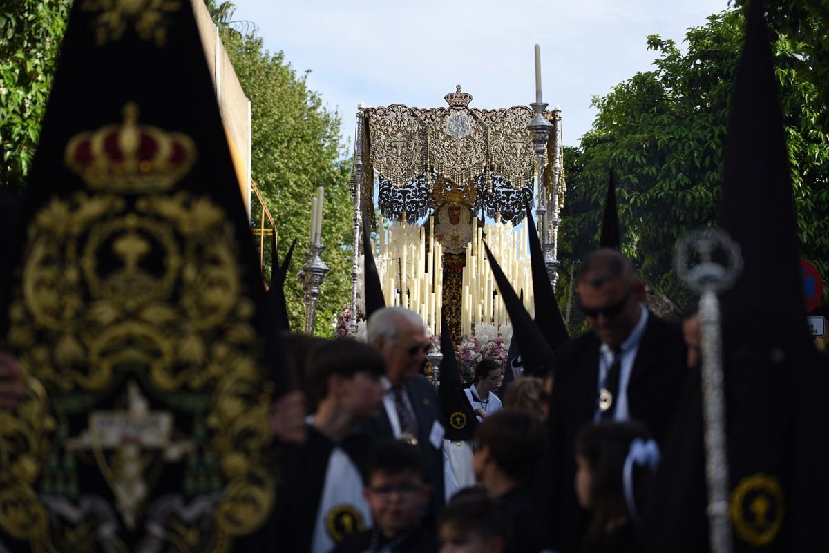 La hermandad del Amor, en imágenes
