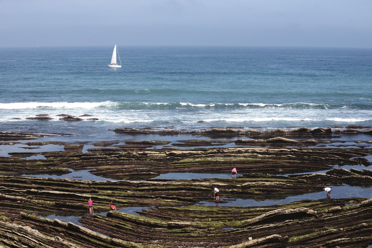 Recogedores de moluscos durante la marea baja en la costa de Sokoa.