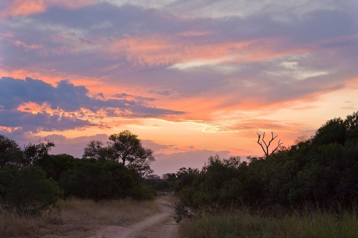 Sabi Sabi, África
