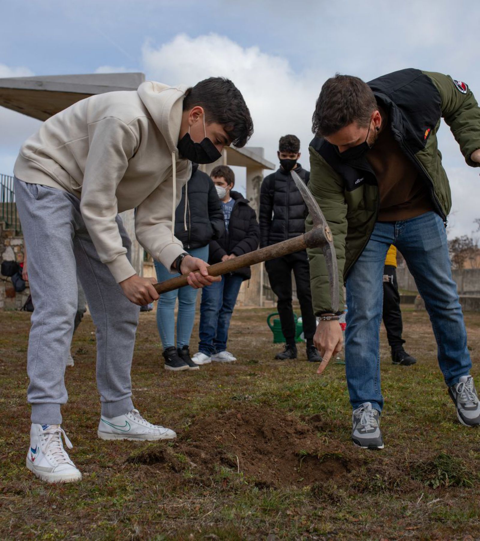 Un momento de la plantación de árboles.