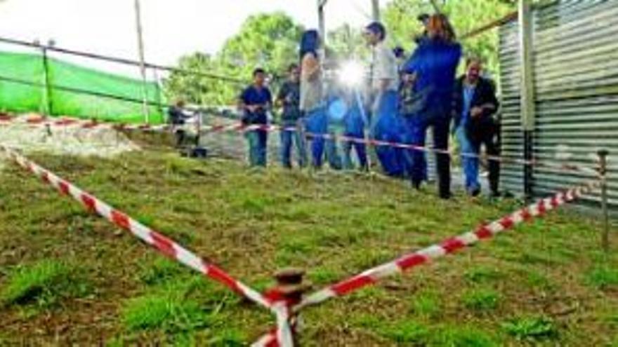 Los arqueólogos empiezan la excavación de la fosa de Lorca