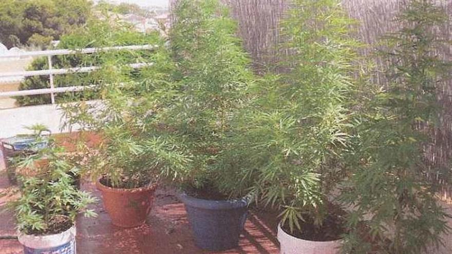 La Policía detiene a un ruso y a un marroquí por cultivar en sus viviendas marihuana
