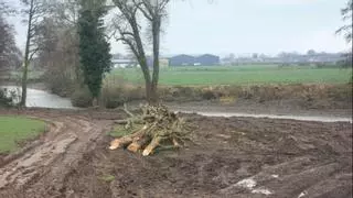 Un agricultor de 68 años arrasa 1,5 km de un río y tala 71 árboles: acaba en la cárcel por “vandalismo ecológico”