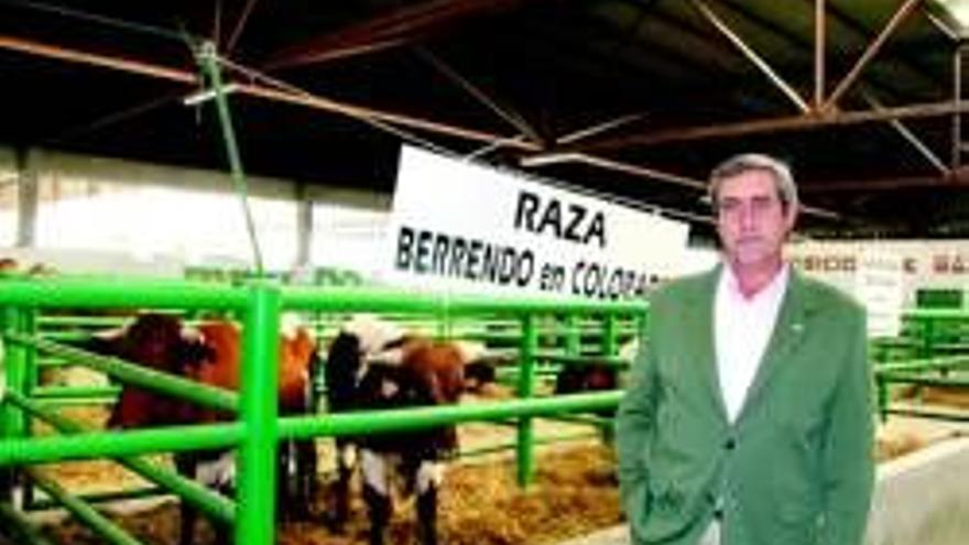 La berrenda exhibe todas sus cualidades