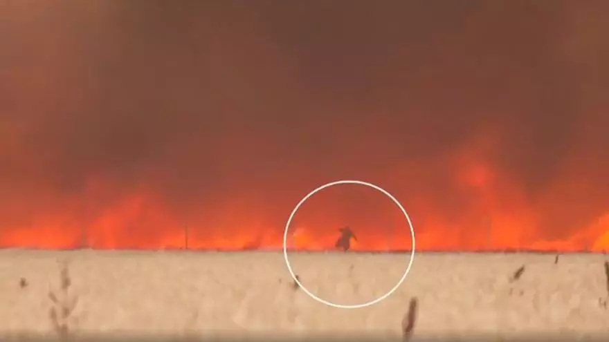 Vídeo: Atrapat per les flames mentre fugia de l'incendi de Zamora