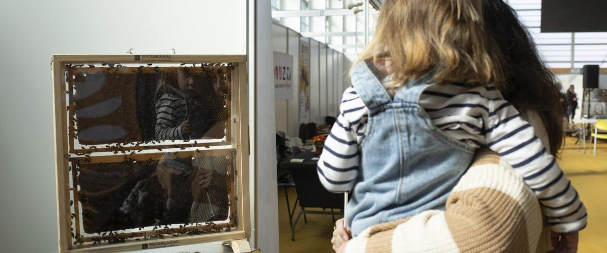 Una niña observa un panal de abejas en una edición anterior de la cita.