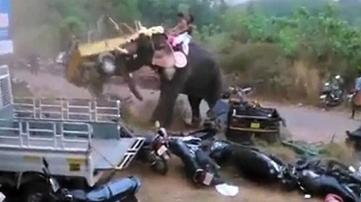 Un elefant enfadat destrossa desenes de cotxes a l’Índia.