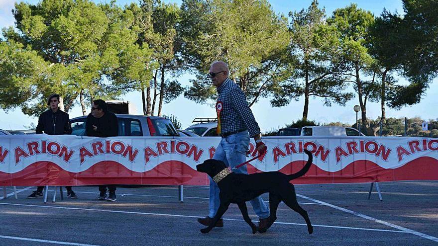 &#039;Concentración Pastor Mallorquín&#039; en El Cruce de Vilafranca