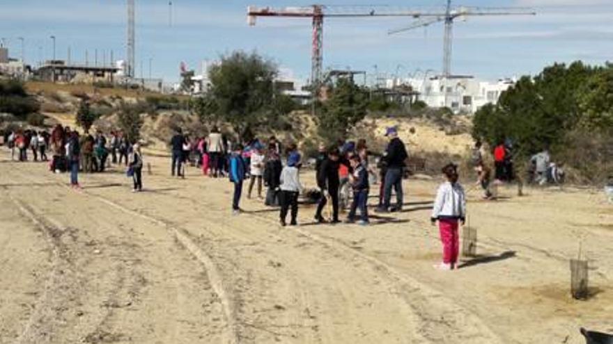 Hidraqua y el Ayuntamiento organizaron una repoblación con alumnos del colegio San Jaime con 300 árboles en el parque Cañada Marsá.