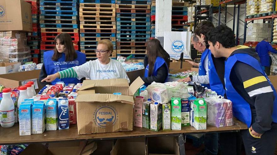 Alumnado del Lar participa en la clasificación de los alimentos.  | // D.P.