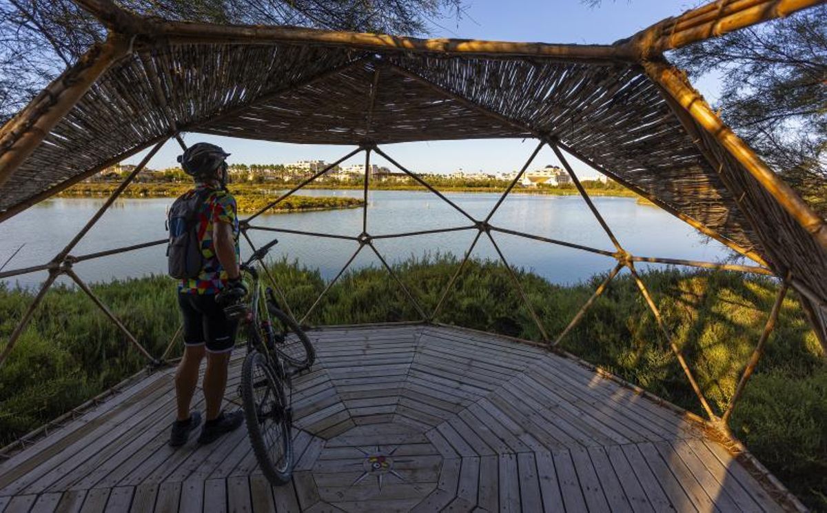 La estabilidad en las Salinas de Santa Pola atrae a más de 4.600 flamencos este verano