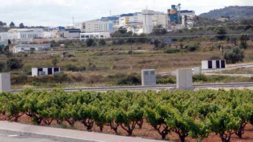 Viñedos en la zona industrial de Teulada y, al fondo, el polígono de Benissa .