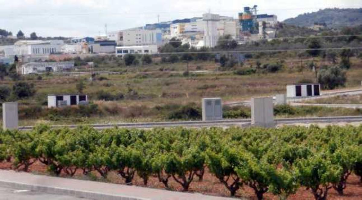 Viñedos en la zona industrial de Teulada y, al fondo, el polígono de Benissa .
