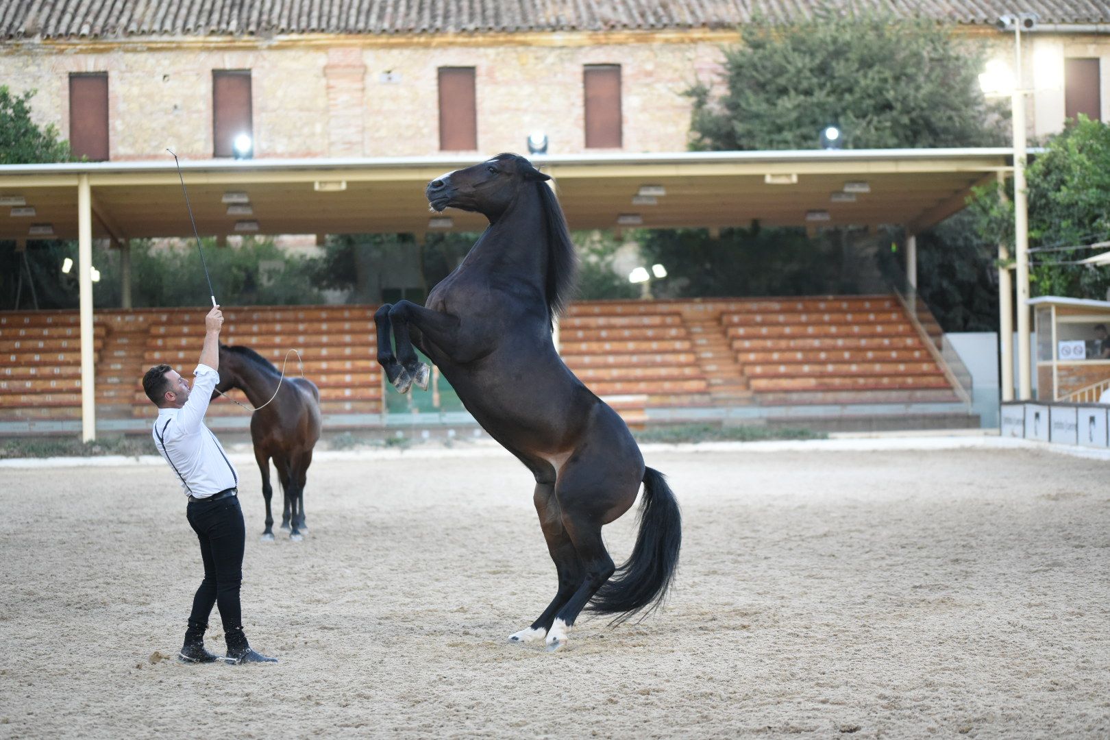 Inauguración de Cabalcor 2022