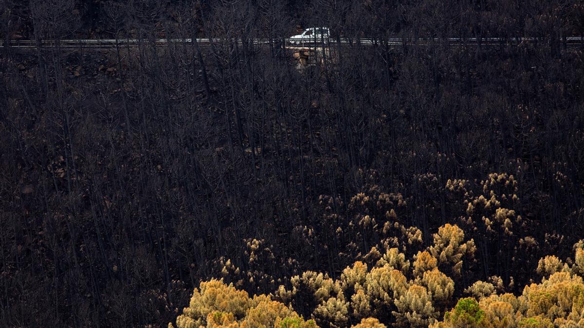 El incendio de Málaga está controlado pero faltan semanas de vigilancia