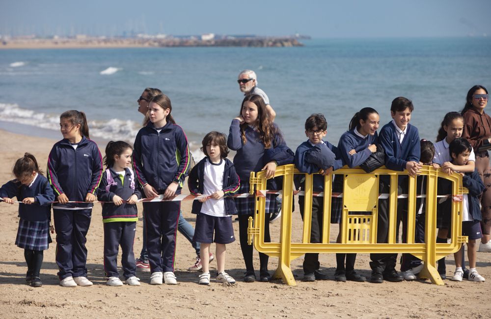 Suelta de tortugas en la playa del Port de Sagunt