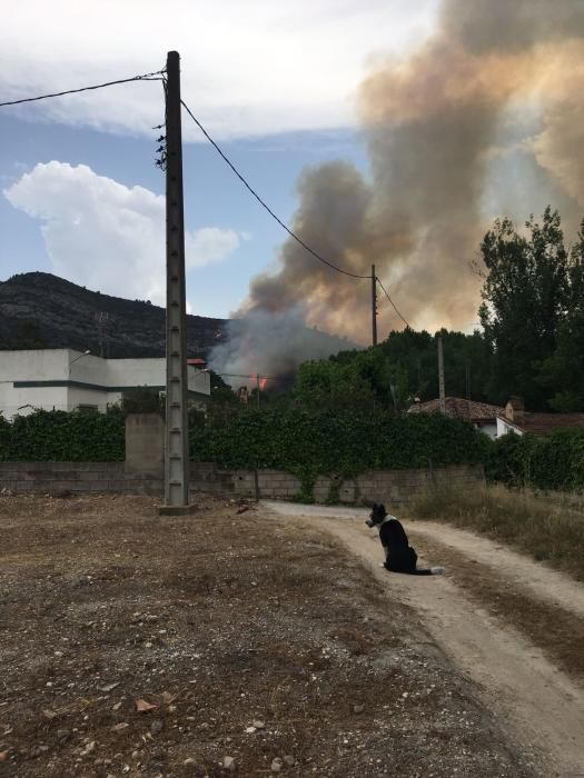 Incendio en El Genovés