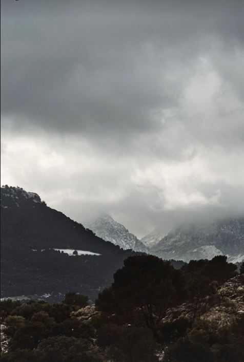 Las fotos de la nieve en Mallorca de nuestros lectores