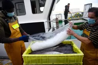 Las capturas de la lonja de A Coruña caen por sexto año consecutivo: “Cada vez hay menos pescado”