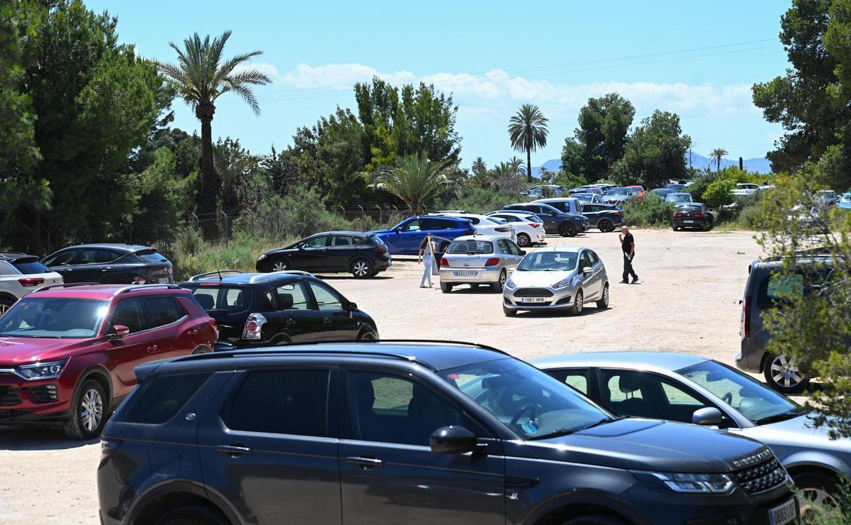 Uno de los descampados junto al Hospital del Vinalopó este lunes