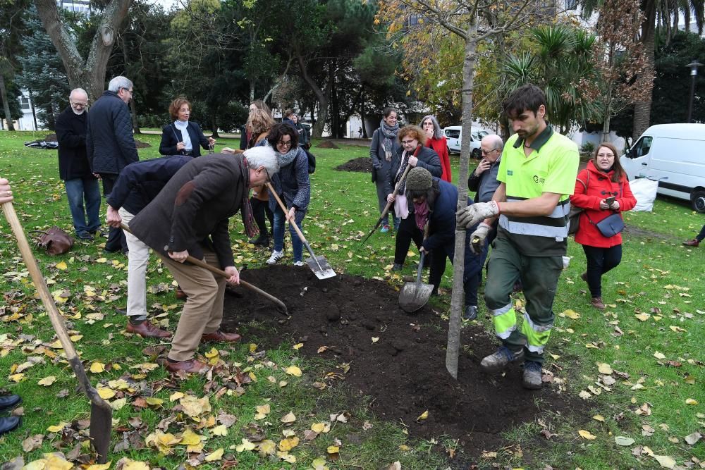 Las entidades que conforman la Plataforma Coruñesa de Voluntariado constan con un árbol que recuerda su labor a favor de la inclusión que realizan.