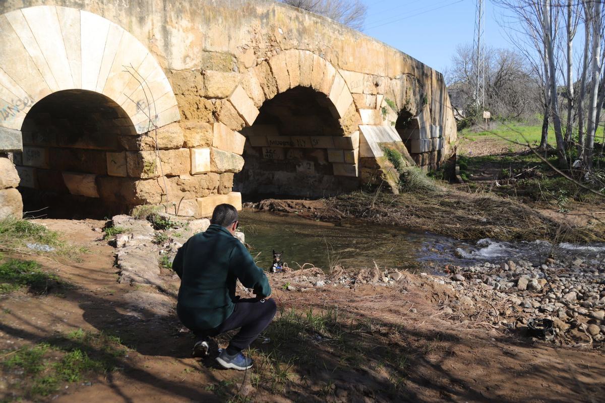 Puente romano sobre el arroyo Pedroches.