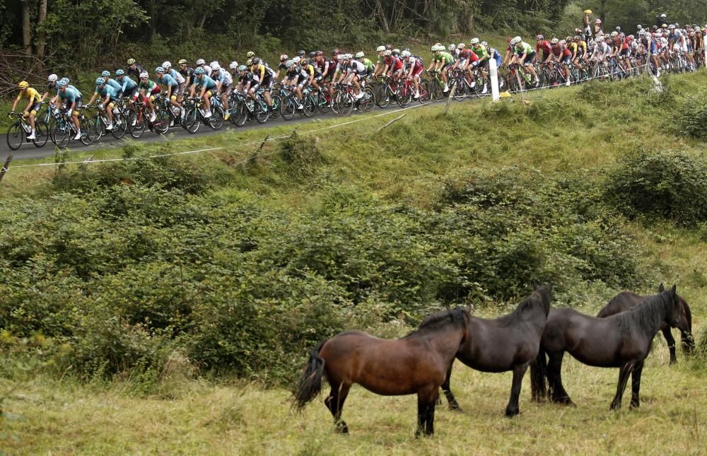 Duodécima etapa del Tour de Francia