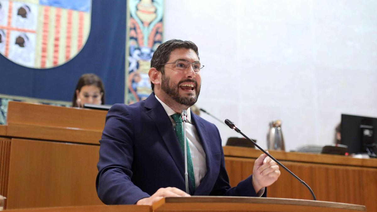 El vicepresidente del Gobierno de Aragón, Alejandro Nolasco, en una intervención en el Pleno de las Cortes.