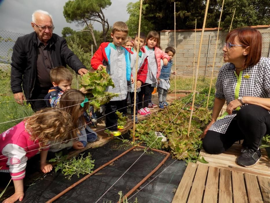 Un hort intergeneracional al pati de l'escola Paidos