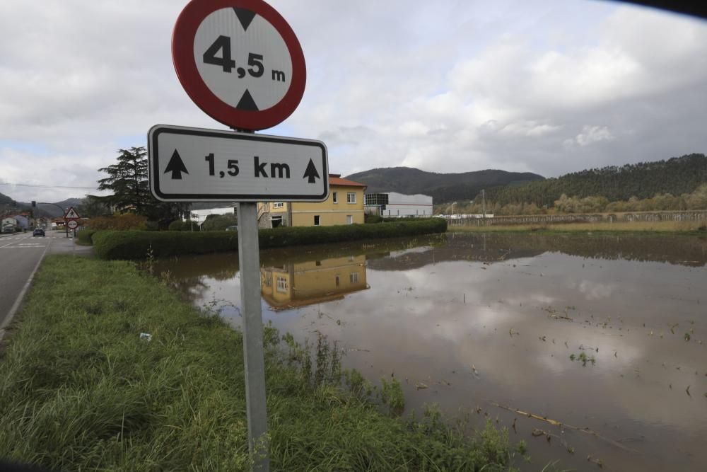 El río Nalón desbordado a su paso por Pravia y Quinzanas