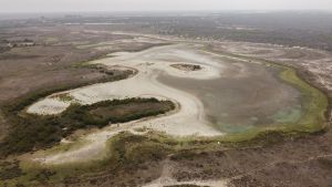 Vista aérea de la laguna de Santa Olalla, en el Parque de Doñana.