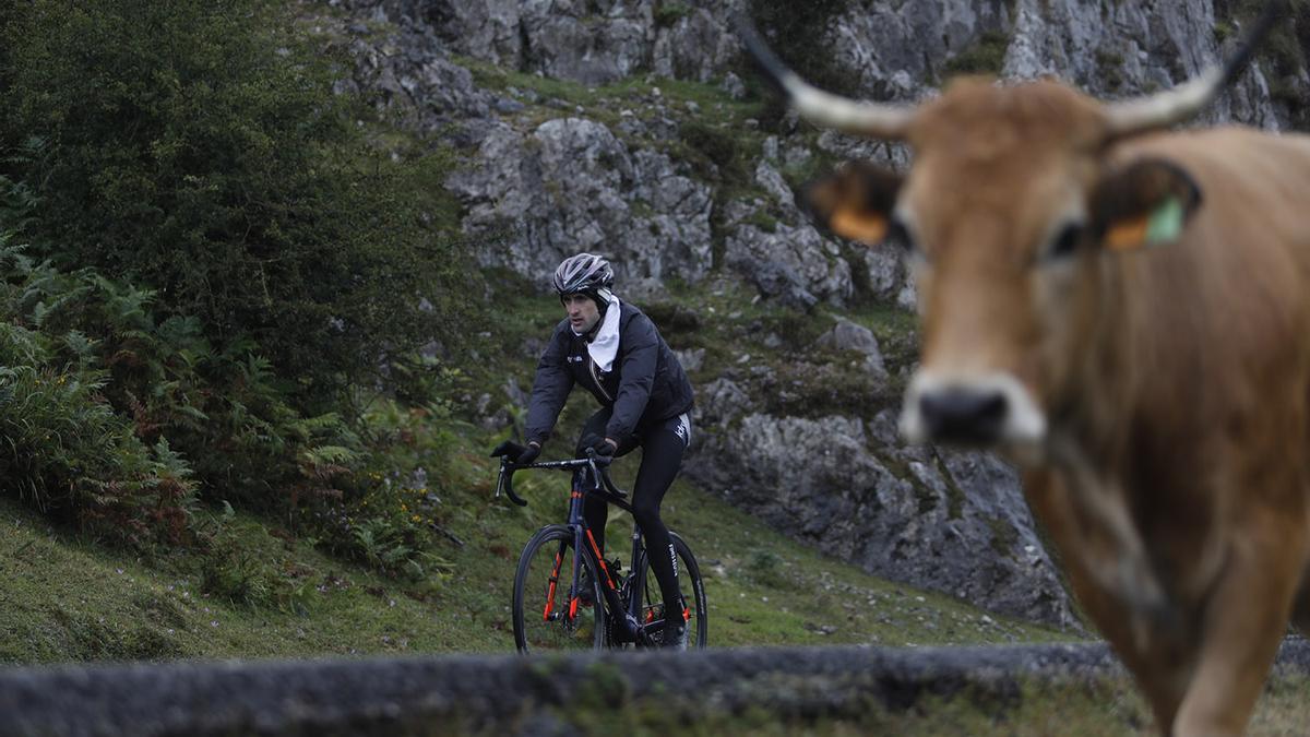 Las mejores fotos para recordar el último verano en Asturias (II)