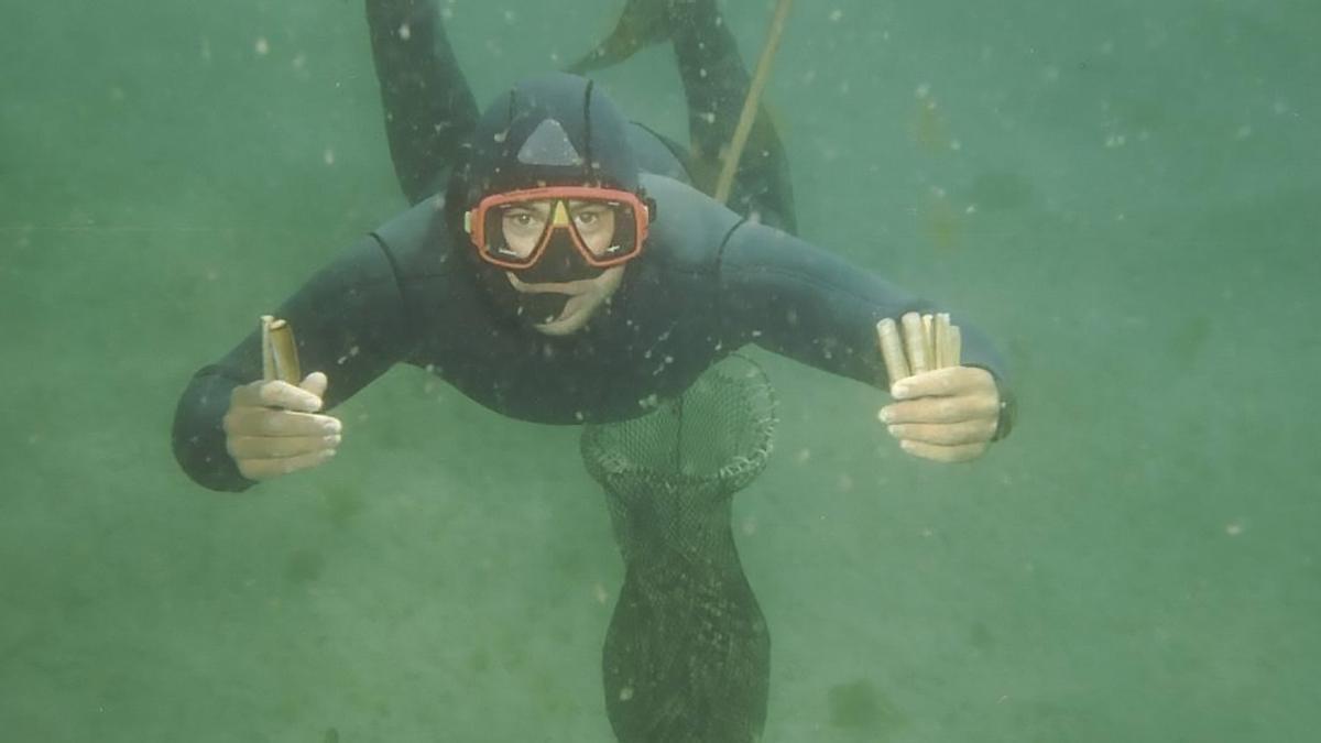 Tres décadas de marisqueo submarino: un trabajo que da felicidad y una facturación de más de un millón de euros