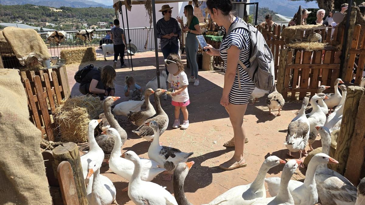 El evento, de acceso gratuito, incluyó juegos tradicionales, talleres familiares, hinchables, paseos de ocas, merienda y una granja familiar.