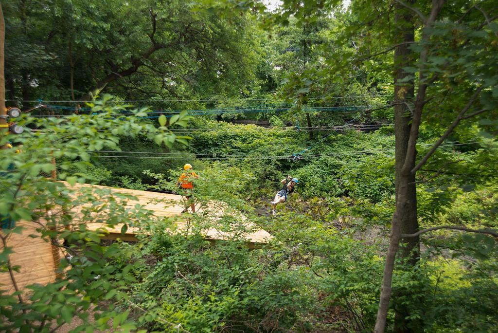 Bronx Zoo Zipline, Nueva York