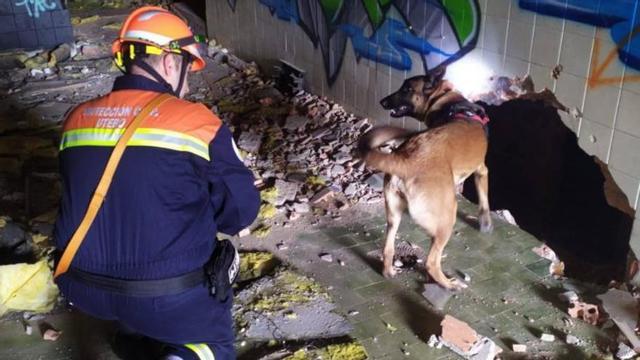 Una de las intervenciones de la unidad canina.