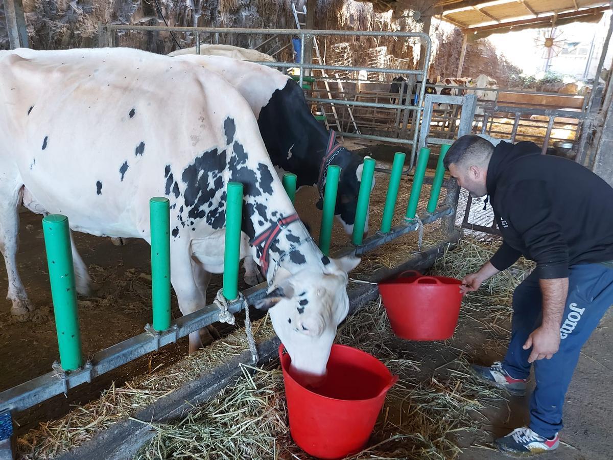 Jairo Álvarez alimenta a Aida y Chequia.