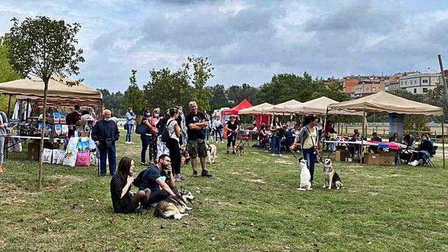 La festa dels animals de companyia de Vilanova del Camí recapta més de 500 euros | AJUNTAMENT DE VILANOVA DEL CAMÍ