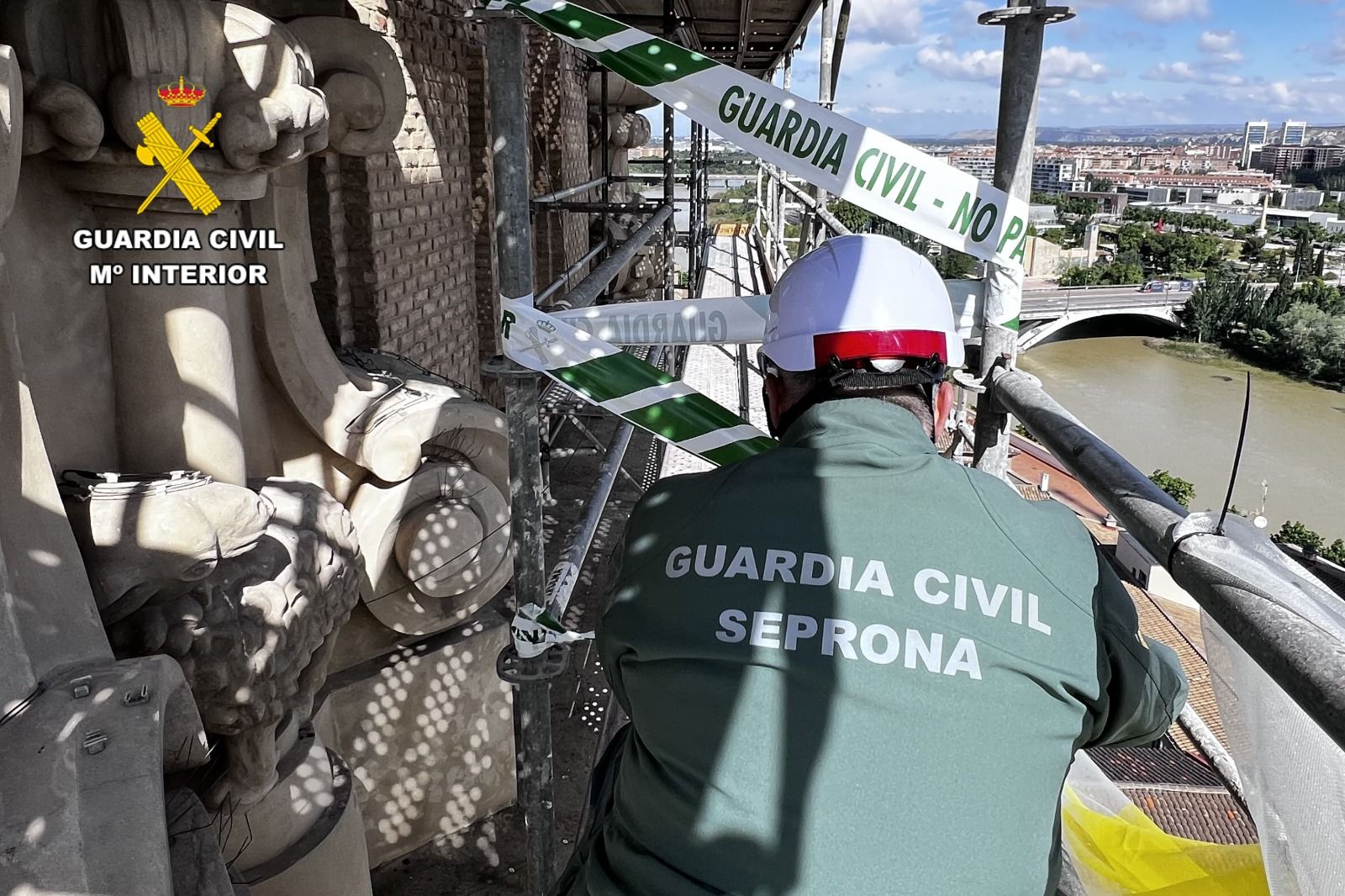 En imágenes | Localizado un nido de cernícalos en una de las torres del Pilar en obras
